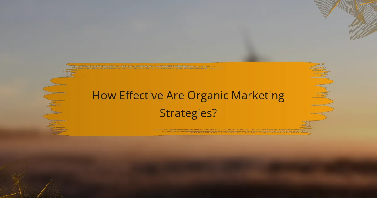 How Effective Are Organic Marketing Strategies?