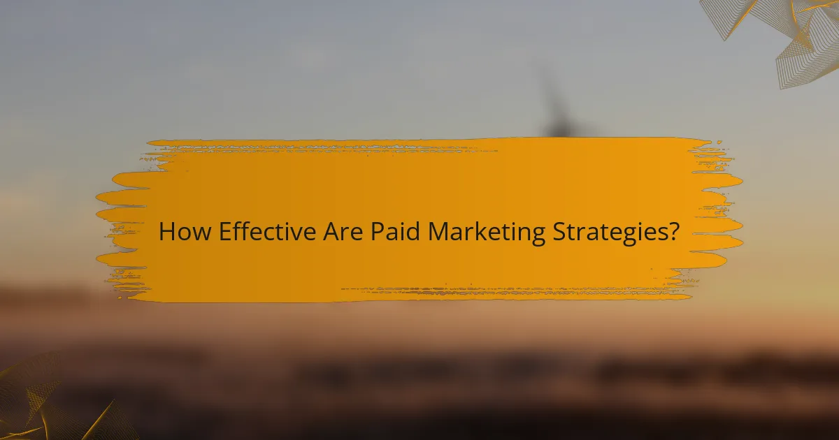 How Effective Are Paid Marketing Strategies?
