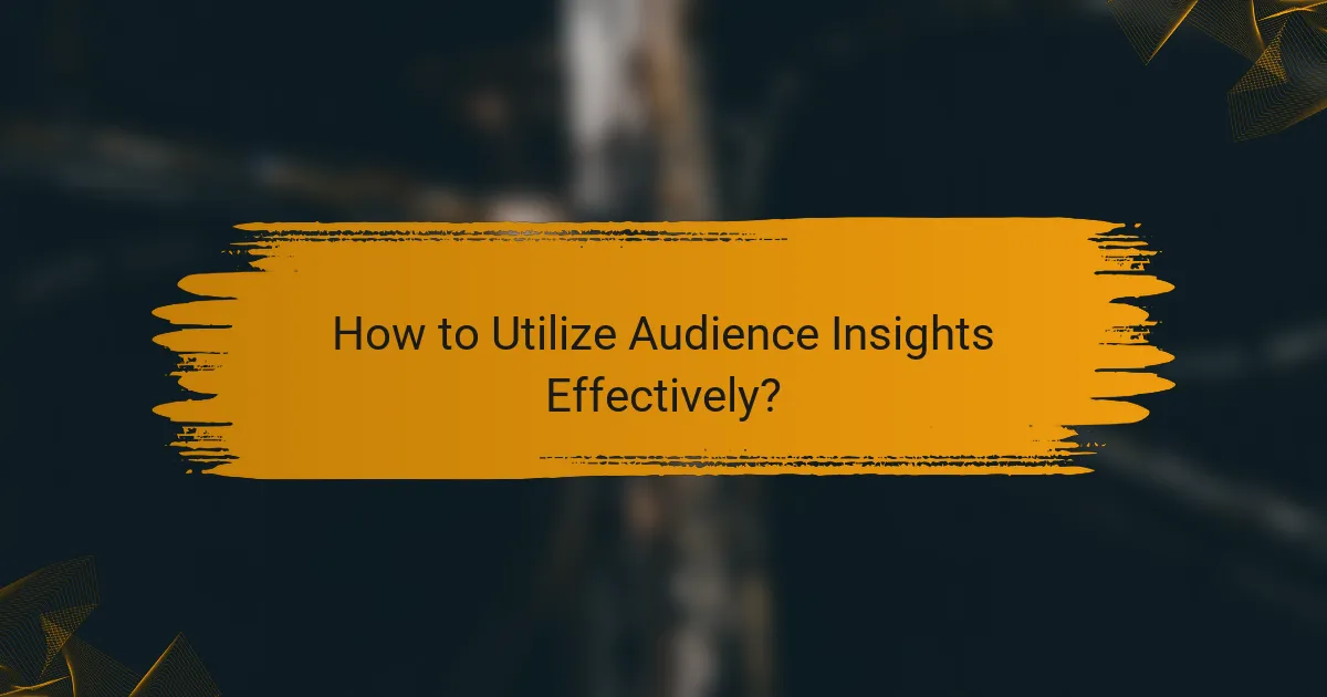 How to Utilize Audience Insights Effectively?